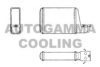 AUTOGAMMA 101626 Heat Exchanger, interior heating